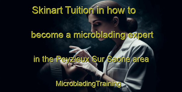 Skinart Tuition in how to become a microblading expert in the Peyzieux Sur Saone area | MicrobladingTraining | MicrobladingClasses | SkinartTraining-France