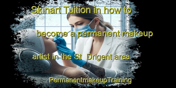 Skinart Tuition in how to become a permanent makeup artist in the St  Drigent area | PermanentmakeupTraining | PermanentmakeupClasses | SkinartTraining-France