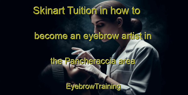 Skinart Tuition in how to become an eyebrow artist in the Pancheraccia area | EyebrowTraining | EyebrowClasses | SkinartTraining-France