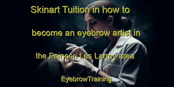 Skinart Tuition in how to become an eyebrow artist in the Poincon Les Larrey area | EyebrowTraining | EyebrowClasses | SkinartTraining-France