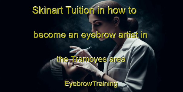 Skinart Tuition in how to become an eyebrow artist in the Tramoyes area | EyebrowTraining | EyebrowClasses | SkinartTraining-France