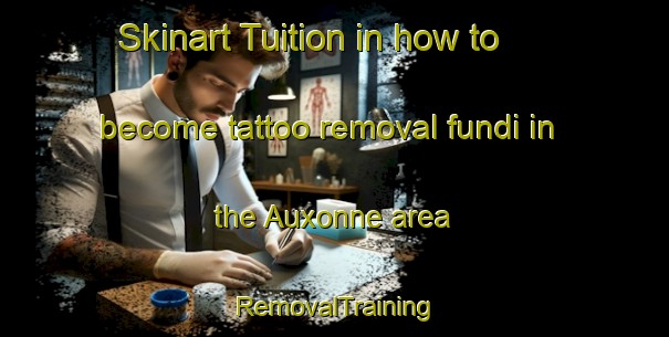 Skinart Tuition in how to become tattoo removal fundi in the Auxonne area | RemovalTraining | RemovalClasses | SkinartTraining-France