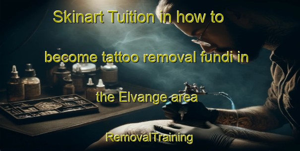 Skinart Tuition in how to become tattoo removal fundi in the Elvange area | RemovalTraining | RemovalClasses | SkinartTraining-France