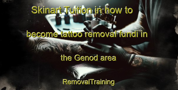 Skinart Tuition in how to become tattoo removal fundi in the Genod area | RemovalTraining | RemovalClasses | SkinartTraining-France