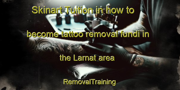 Skinart Tuition in how to become tattoo removal fundi in the Larnat area | RemovalTraining | RemovalClasses | SkinartTraining-France