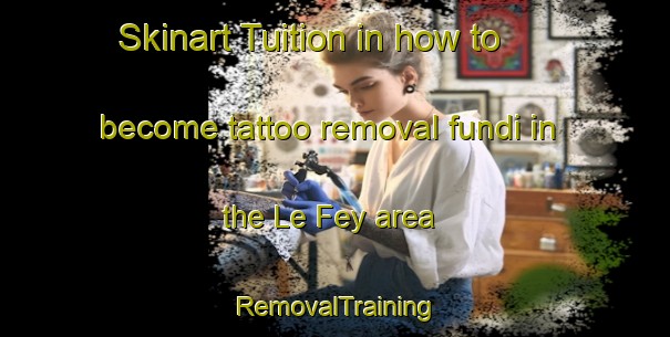 Skinart Tuition in how to become tattoo removal fundi in the Le Fey area | RemovalTraining | RemovalClasses | SkinartTraining-France