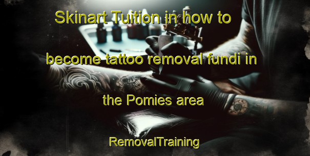 Skinart Tuition in how to become tattoo removal fundi in the Pomies area | RemovalTraining | RemovalClasses | SkinartTraining-France