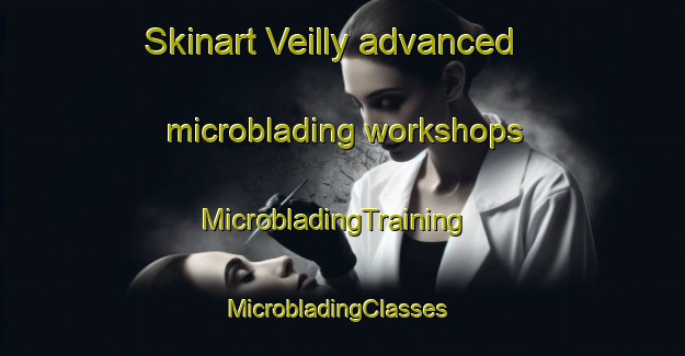 Skinart Veilly advanced microblading workshops | MicrobladingTraining | MicrobladingClasses | SkinartTraining-France