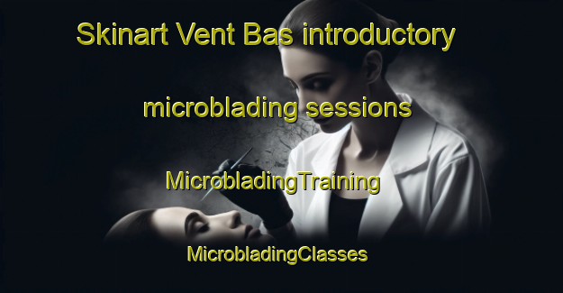 Skinart Vent Bas introductory microblading sessions | MicrobladingTraining | MicrobladingClasses | SkinartTraining-France