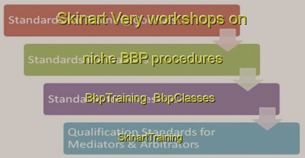 Skinart Very workshops on niche BBP procedures | BbpTraining | BbpClasses | SkinartTraining-France