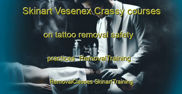 Skinart Vesenex Crassy courses on tattoo removal safety practices | #RemovalTraining #RemovalClasses #SkinartTraining-France