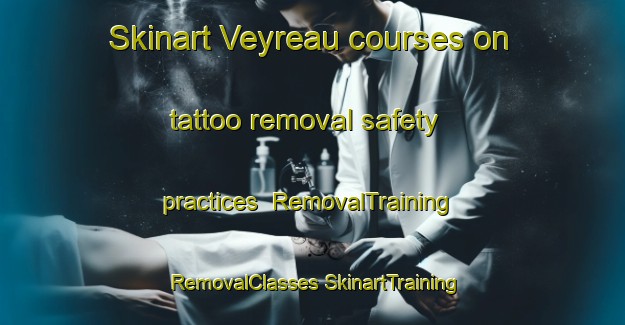 Skinart Veyreau courses on tattoo removal safety practices | #RemovalTraining #RemovalClasses #SkinartTraining-France