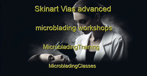 Skinart Vias advanced microblading workshops | MicrobladingTraining | MicrobladingClasses | SkinartTraining-France