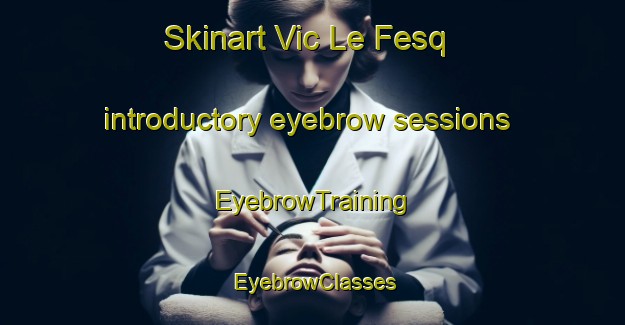 Skinart Vic Le Fesq introductory eyebrow sessions | EyebrowTraining | EyebrowClasses | SkinartTraining-France