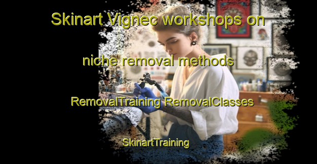 Skinart Vignec workshops on niche removal methods | #RemovalTraining #RemovalClasses #SkinartTraining-France