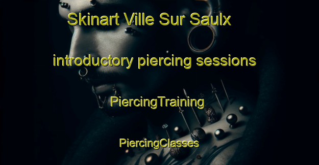 Skinart Ville Sur Saulx introductory piercing sessions | #PiercingTraining #PiercingClasses #SkinartTraining-France