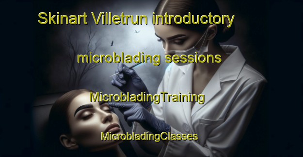 Skinart Villetrun introductory microblading sessions | MicrobladingTraining | MicrobladingClasses | SkinartTraining-France
