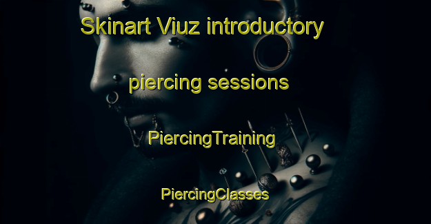 Skinart Viuz introductory piercing sessions | #PiercingTraining #PiercingClasses #SkinartTraining-France