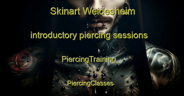 Skinart Weidesheim introductory piercing sessions | PiercingTraining | PiercingClasses | SkinartTraining-France