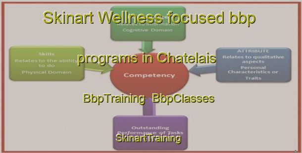 Skinart Wellness-focused bbp programs in Chatelais | BbpTraining | BbpClasses | SkinartTraining-France