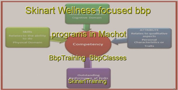 Skinart Wellness-focused bbp programs in Machot | BbpTraining | BbpClasses | SkinartTraining-France