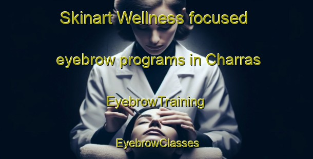 Skinart Wellness-focused eyebrow programs in Charras | EyebrowTraining | EyebrowClasses | SkinartTraining-France