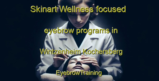 Skinart Wellness-focused eyebrow programs in Wintzenheim Kochersberg | EyebrowTraining | EyebrowClasses | SkinartTraining-France