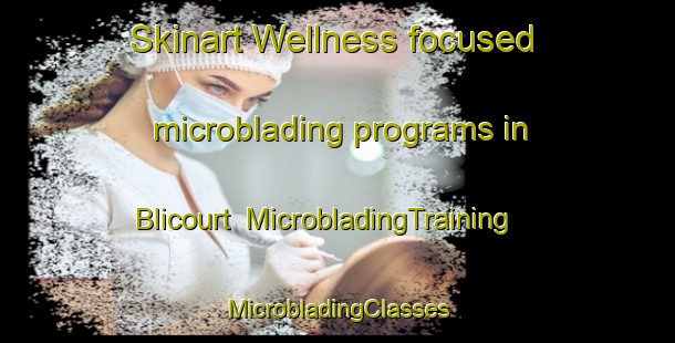 Skinart Wellness-focused microblading programs in Blicourt | #MicrobladingTraining #MicrobladingClasses #SkinartTraining-France