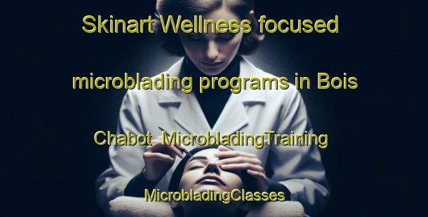 Skinart Wellness-focused microblading programs in Bois Chabot | #MicrobladingTraining #MicrobladingClasses #SkinartTraining-France