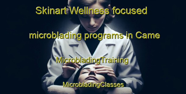 Skinart Wellness-focused microblading programs in Came | #MicrobladingTraining #MicrobladingClasses #SkinartTraining-France