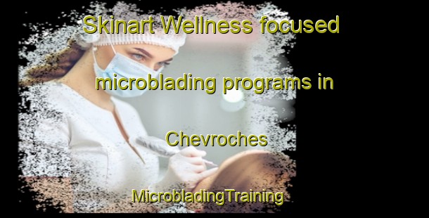 Skinart Wellness-focused microblading programs in Chevroches | MicrobladingTraining | MicrobladingClasses | SkinartTraining-France