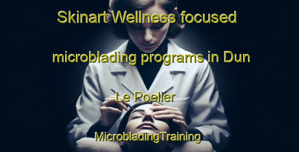 Skinart Wellness-focused microblading programs in Dun Le Poelier | #MicrobladingTraining #MicrobladingClasses #SkinartTraining-France