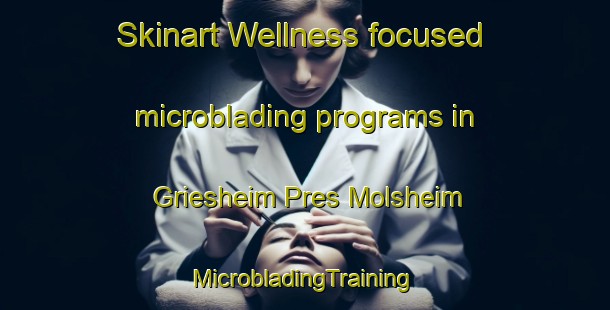 Skinart Wellness-focused microblading programs in Griesheim Pres Molsheim | #MicrobladingTraining #MicrobladingClasses #SkinartTraining-France