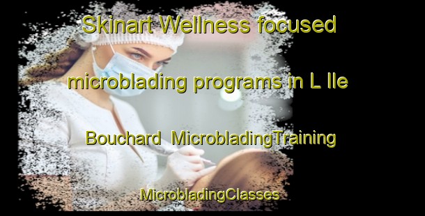 Skinart Wellness-focused microblading programs in L Ile Bouchard | MicrobladingTraining | MicrobladingClasses | SkinartTraining-France