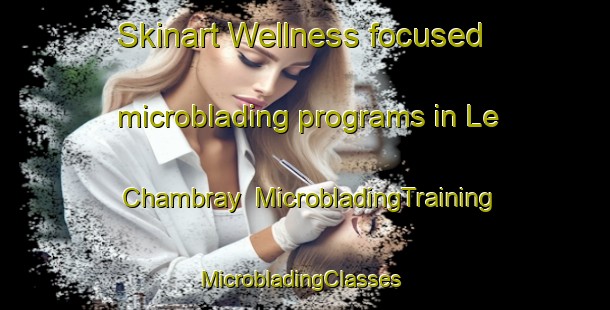 Skinart Wellness-focused microblading programs in Le Chambray | MicrobladingTraining | MicrobladingClasses | SkinartTraining-France