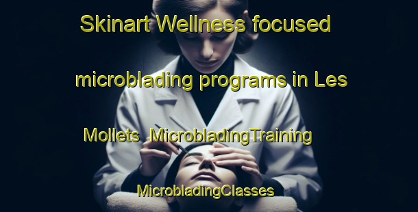 Skinart Wellness-focused microblading programs in Les Mollets | MicrobladingTraining | MicrobladingClasses | SkinartTraining-France