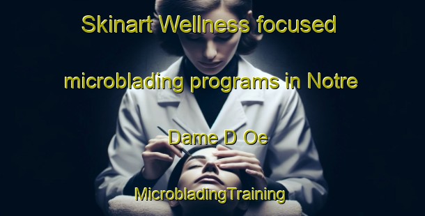 Skinart Wellness-focused microblading programs in Notre Dame D Oe | #MicrobladingTraining #MicrobladingClasses #SkinartTraining-France