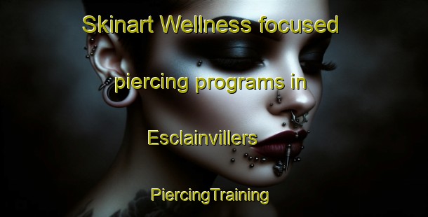 Skinart Wellness-focused piercing programs in Esclainvillers | #PiercingTraining #PiercingClasses #SkinartTraining-France