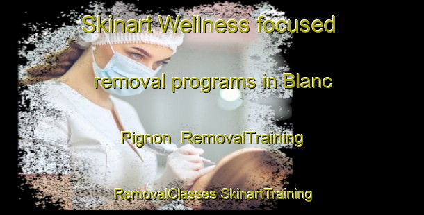 Skinart Wellness-focused removal programs in Blanc Pignon | #RemovalTraining #RemovalClasses #SkinartTraining-France