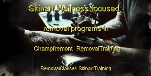 Skinart Wellness-focused removal programs in Champfremont | #RemovalTraining #RemovalClasses #SkinartTraining-France