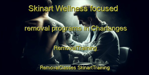 Skinart Wellness-focused removal programs in Charlanges | #RemovalTraining #RemovalClasses #SkinartTraining-France