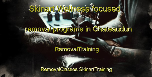 Skinart Wellness-focused removal programs in Chateaudun | #RemovalTraining #RemovalClasses #SkinartTraining-France