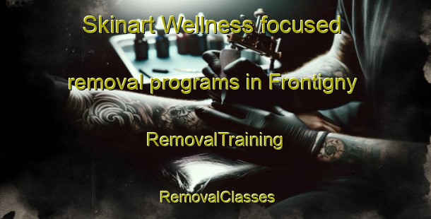 Skinart Wellness-focused removal programs in Frontigny | RemovalTraining | RemovalClasses | SkinartTraining-France