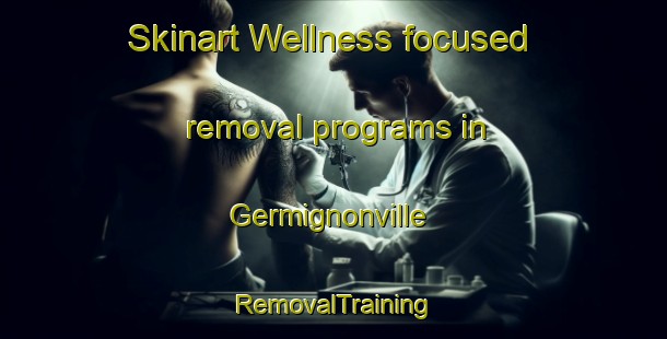 Skinart Wellness-focused removal programs in Germignonville | RemovalTraining | RemovalClasses | SkinartTraining-France