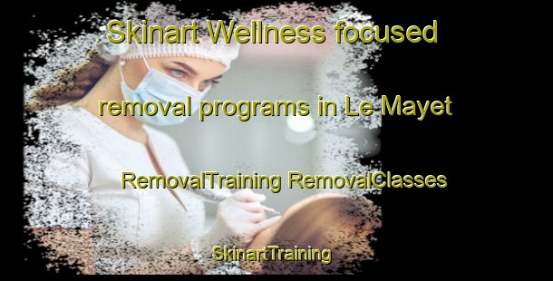 Skinart Wellness-focused removal programs in Le Mayet | #RemovalTraining #RemovalClasses #SkinartTraining-France