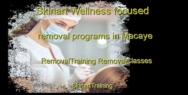 Skinart Wellness-focused removal programs in Macaye | #RemovalTraining #RemovalClasses #SkinartTraining-France