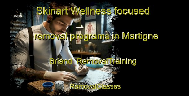 Skinart Wellness-focused removal programs in Martigne Briand | RemovalTraining | RemovalClasses | SkinartTraining-France