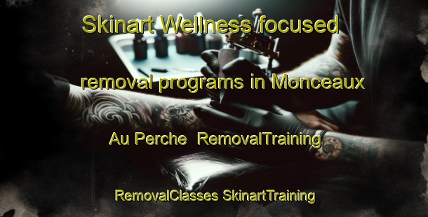 Skinart Wellness-focused removal programs in Monceaux Au Perche | #RemovalTraining #RemovalClasses #SkinartTraining-France