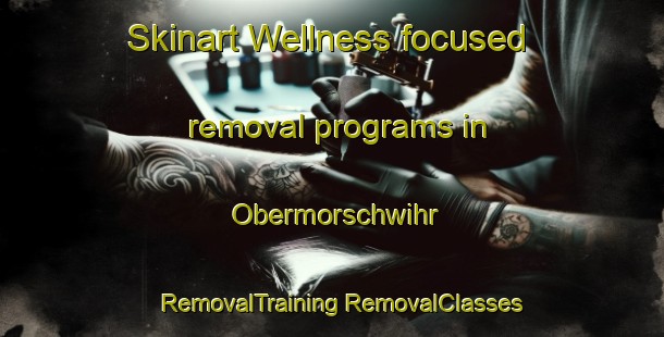 Skinart Wellness-focused removal programs in Obermorschwihr | #RemovalTraining #RemovalClasses #SkinartTraining-France