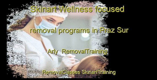 Skinart Wellness-focused removal programs in Praz Sur Arly | #RemovalTraining #RemovalClasses #SkinartTraining-France